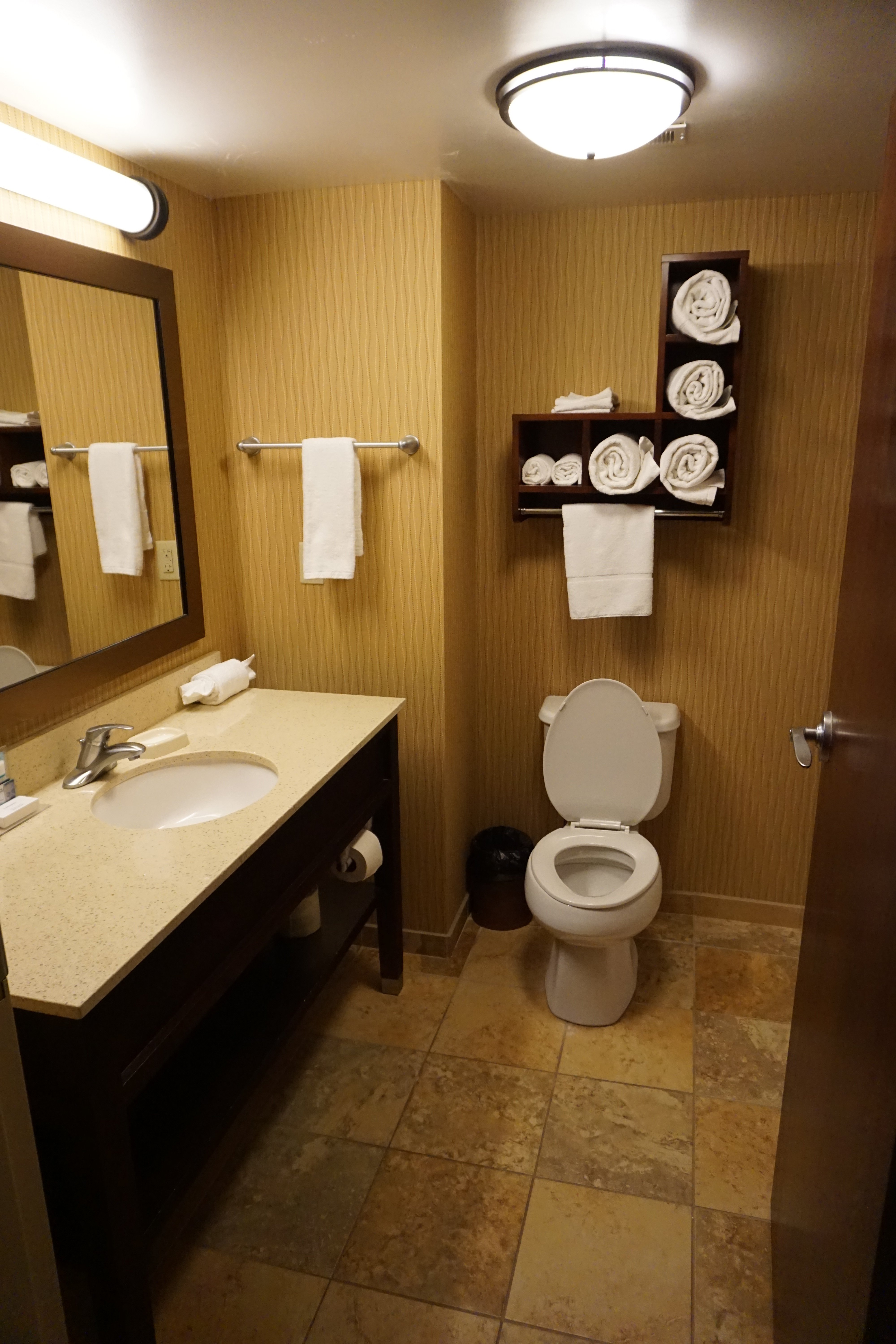 Hampton Inn Troy-浴室