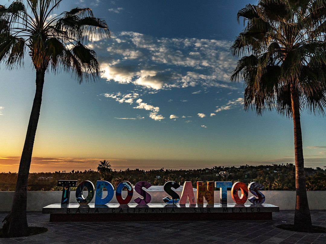 Galeria de Todos Santos-托多斯桑托斯必去景点