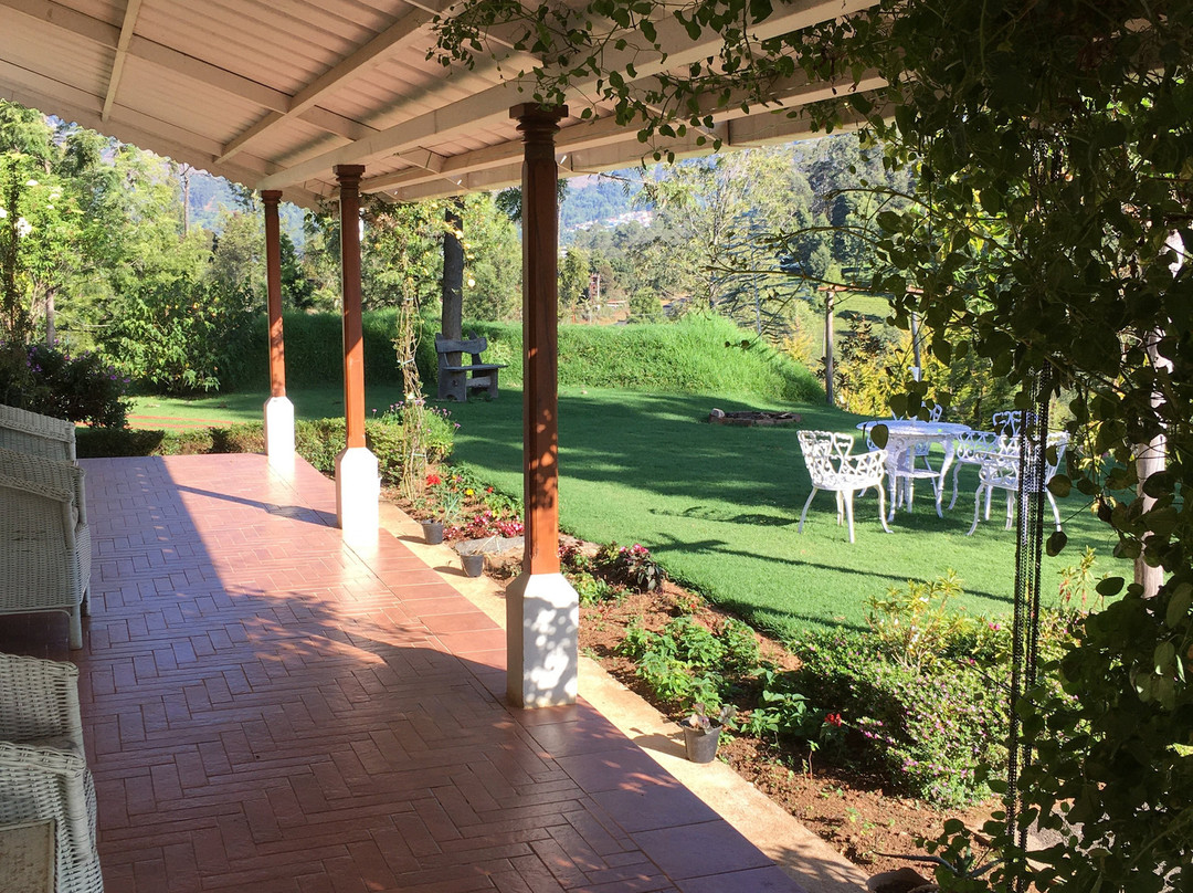 The Clive & Curzon主图