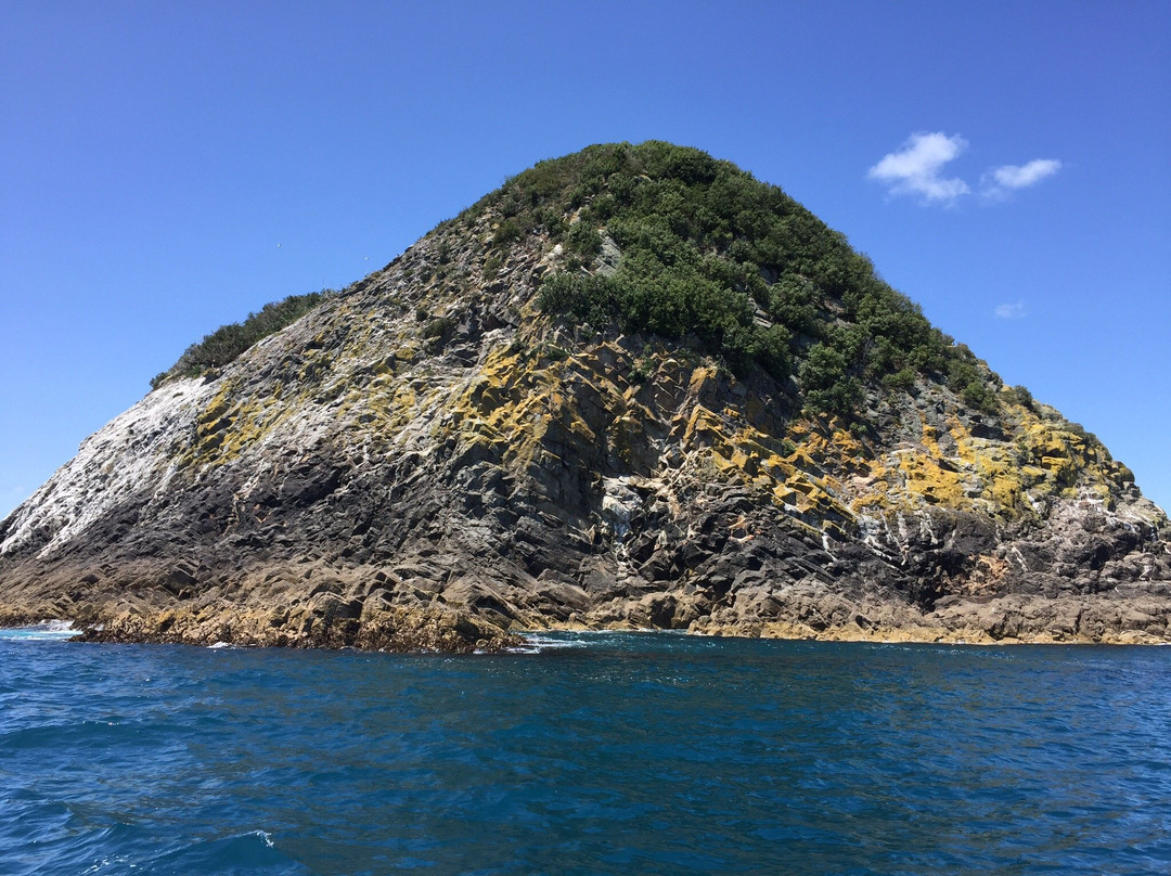 Sugar Loaf Islands and Paritutu Rock景点图片