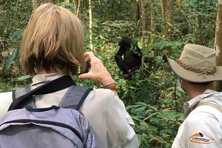 WE CAB TOURS & SAFARIS-Kigoma必去景点