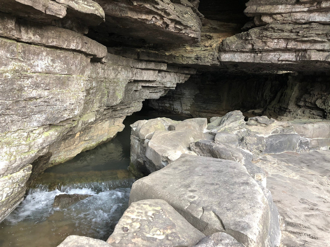 Cave Spring Hollow-Lynchburg必去景点