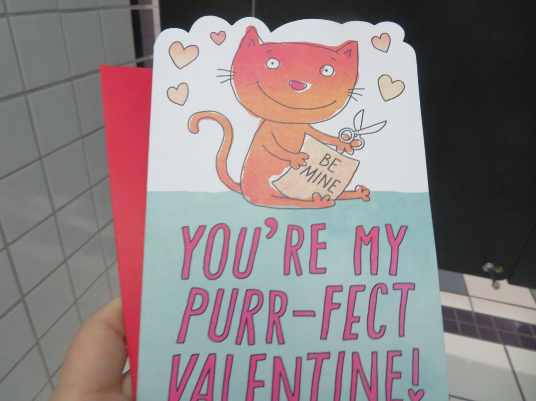 Stoneridge Shopping Center-普莱森顿必去景点