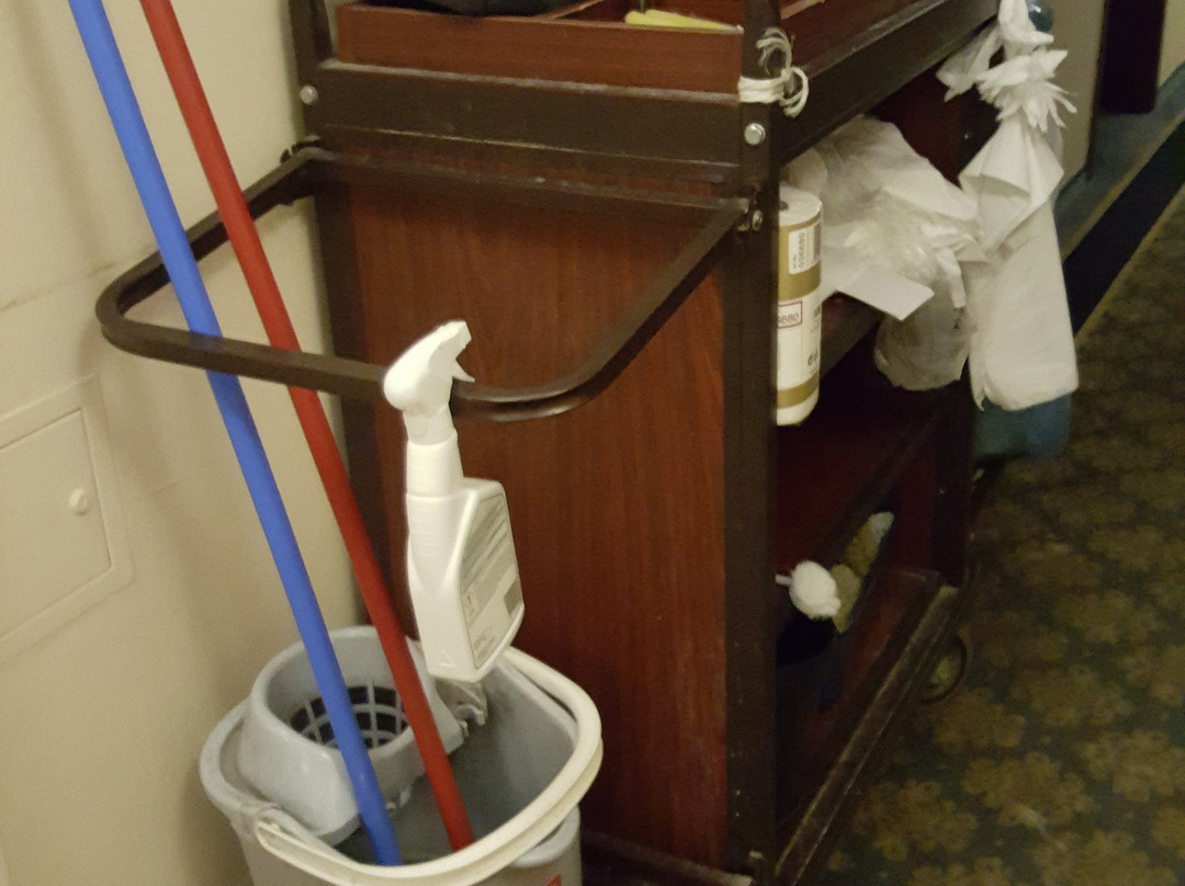 Hotel Venecia Palace主图