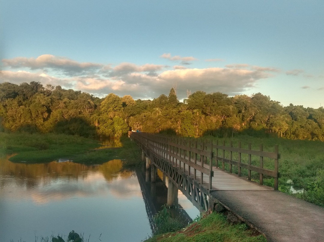 Parque do Lago景点图片