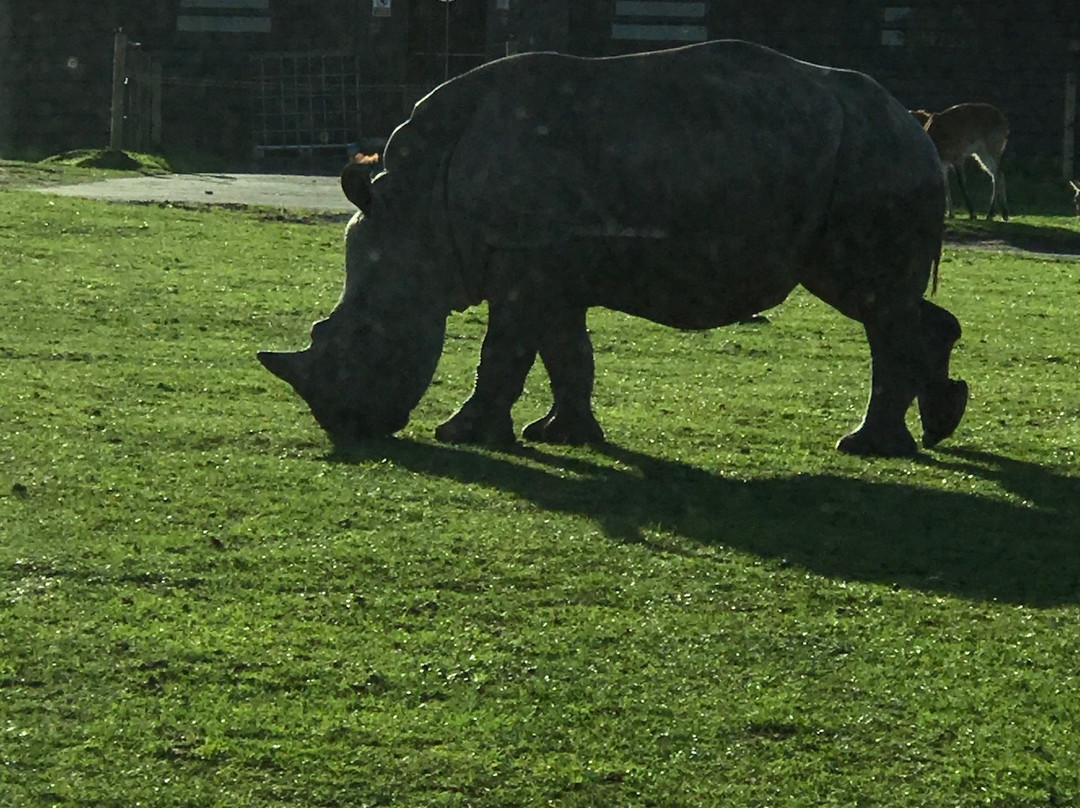 West Midlands Safari Park-Bewdley必去景点