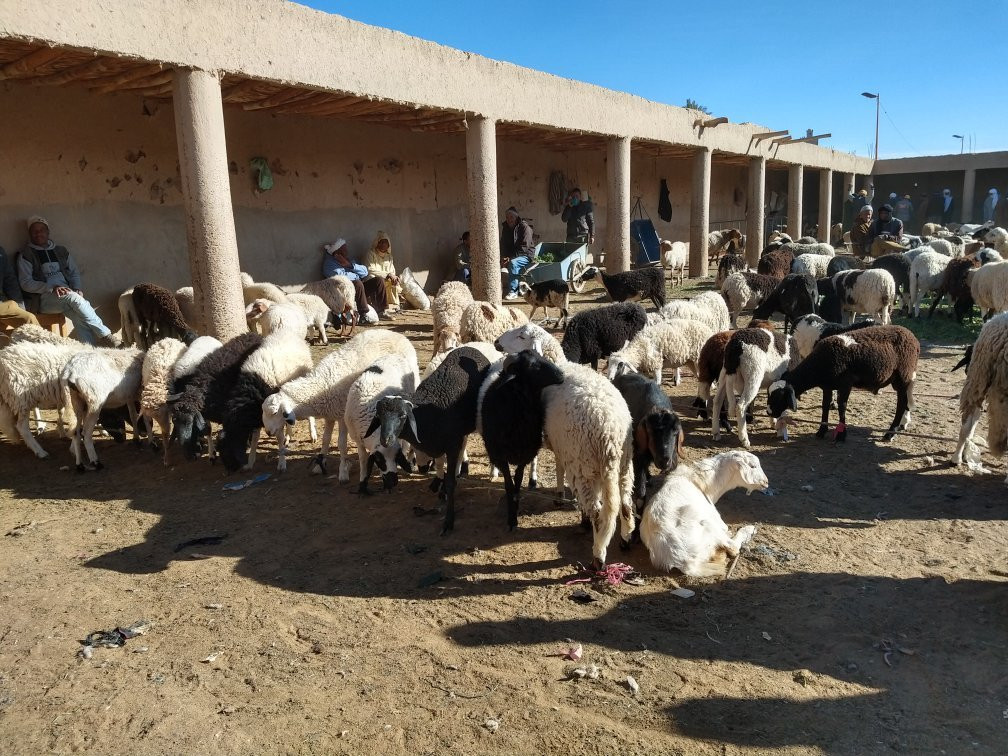 Souqs of Rissani-Rissani必去景点