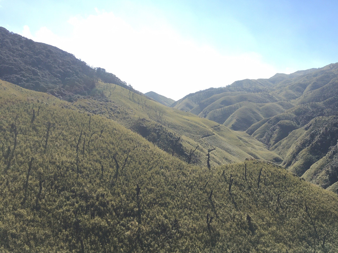 Dzukou Valley景点图片