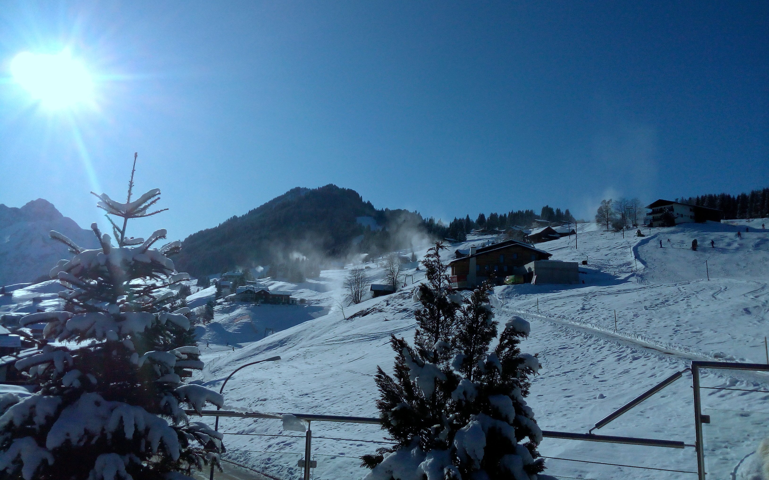 Hotel Birkenhöhe-酒店景观