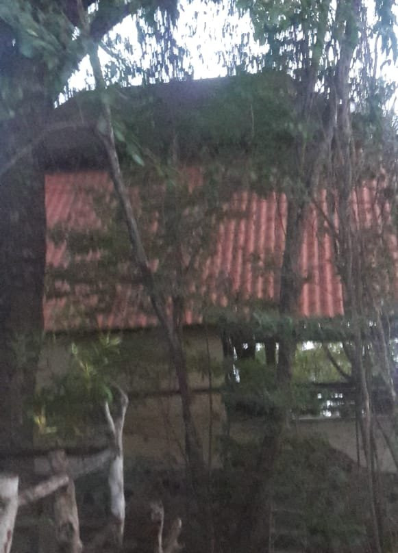 La Playita Resort主图