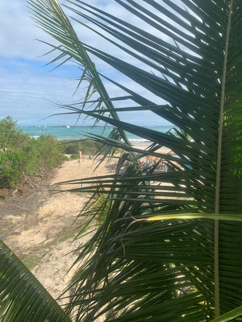 Hostal La Jungla主图