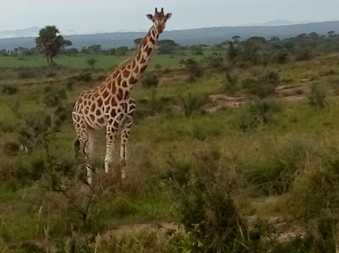 Sasa Holidays Limited