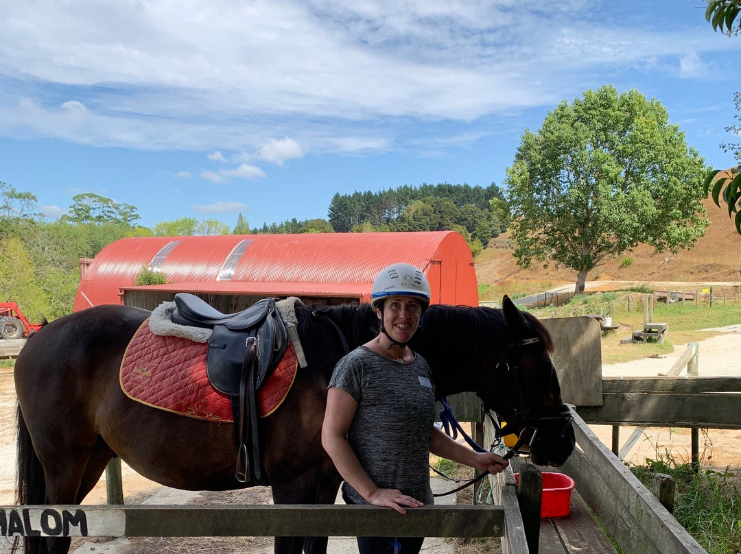Horse Riding Warkworth-瓦卡沃夫必去景点
