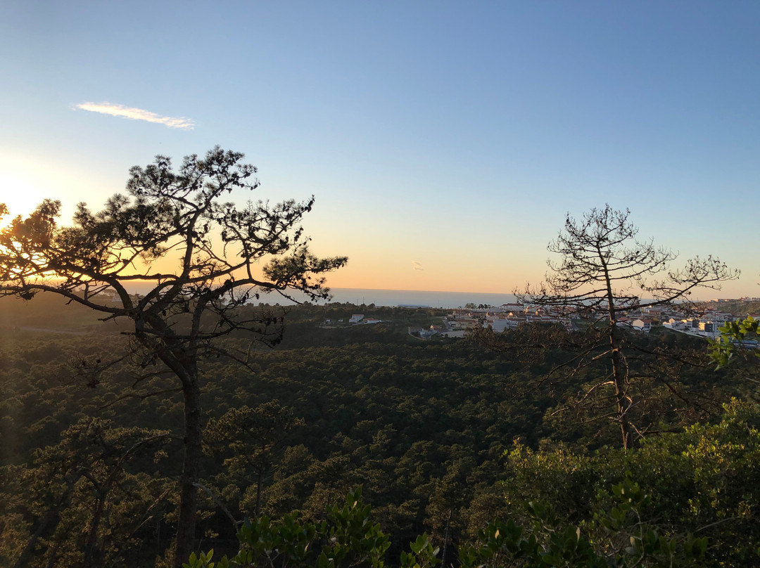 Monte De São Bartolomeu景点图片