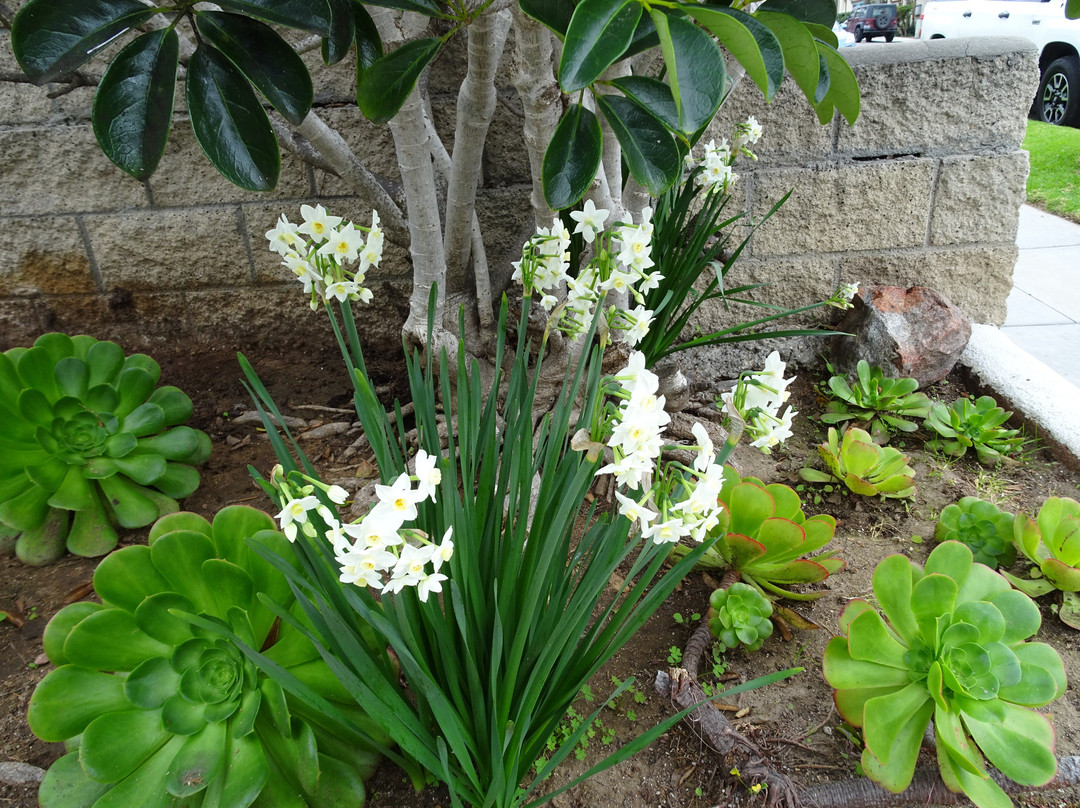 Coastal Rail Trail-欧申赛德必去景点