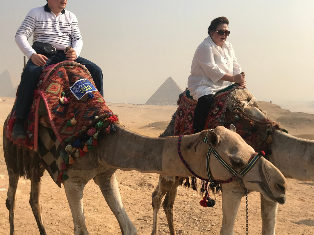 Travel To Egypt Tours景点图片