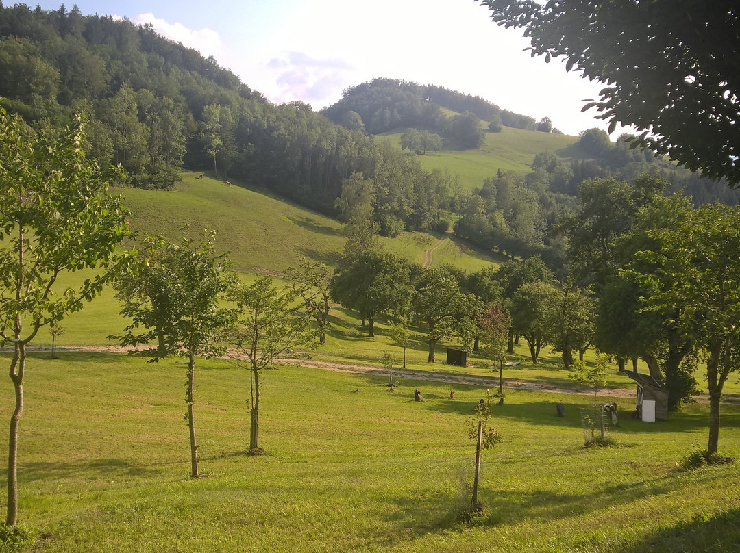 Bauernhof Gasthof Koglerhof主图