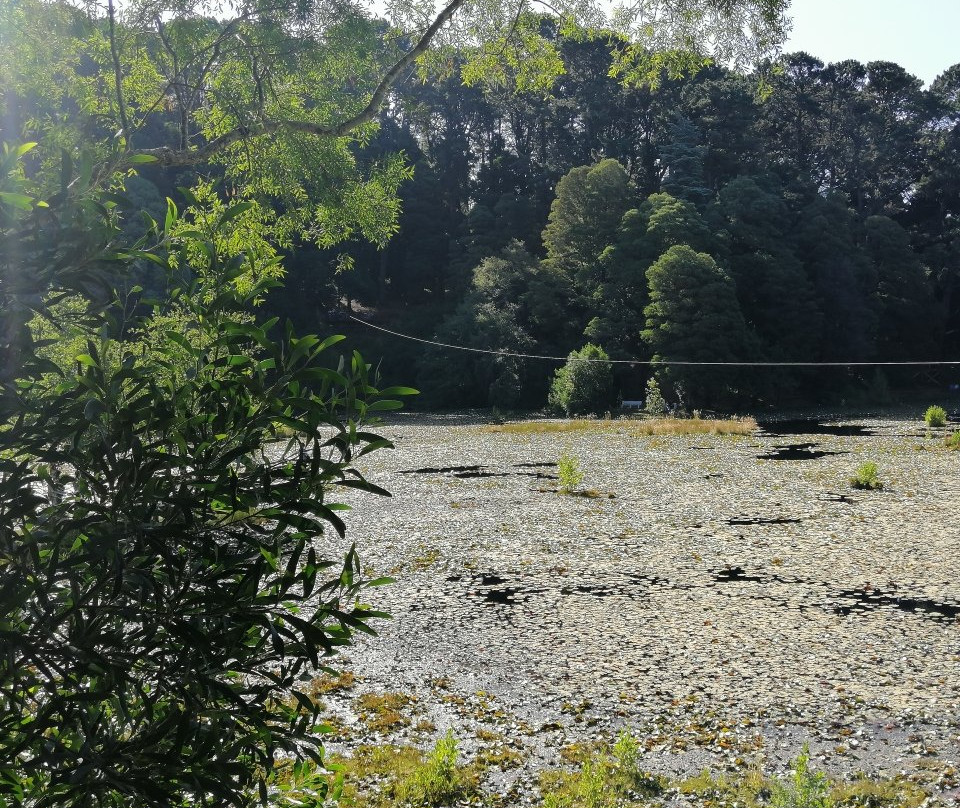 Parque Saval-瓦尔迪维亚必去景点