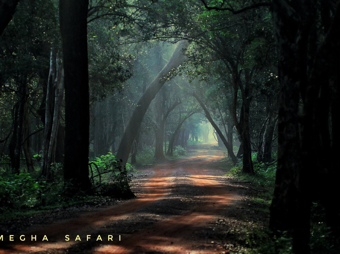 Wilpattu Megha Safari-阿努拉德普勒圣城必去景点