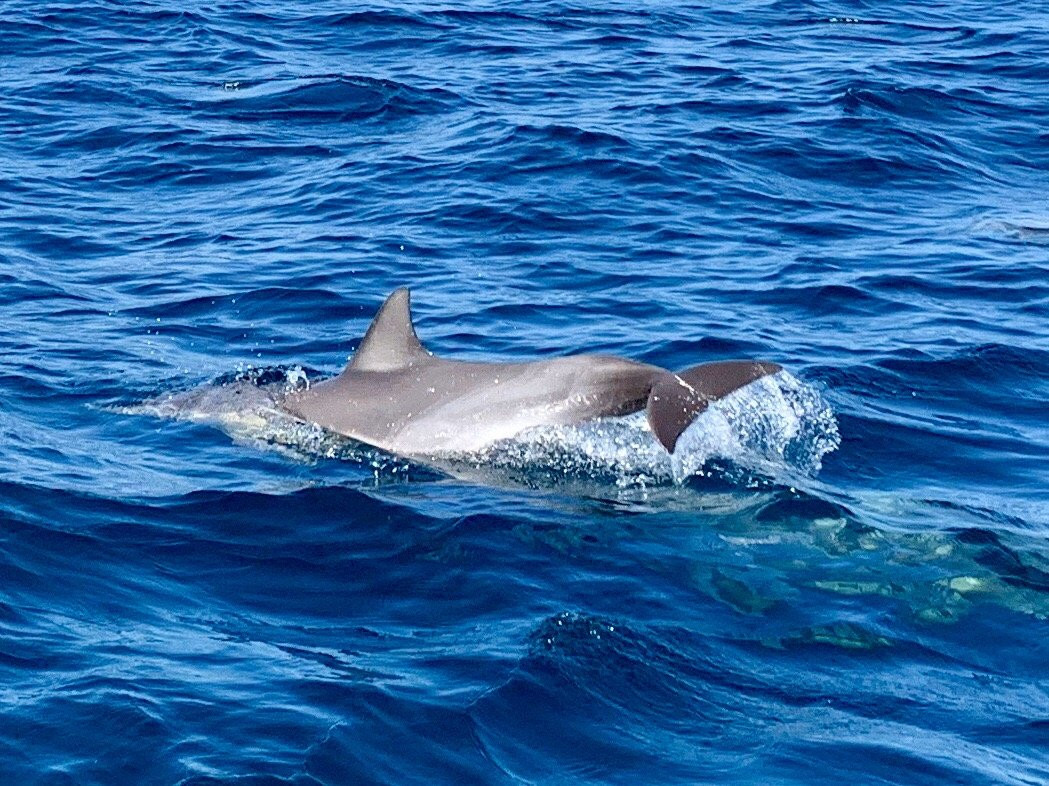 Sea The Gold Coast-绍斯波特必去景点