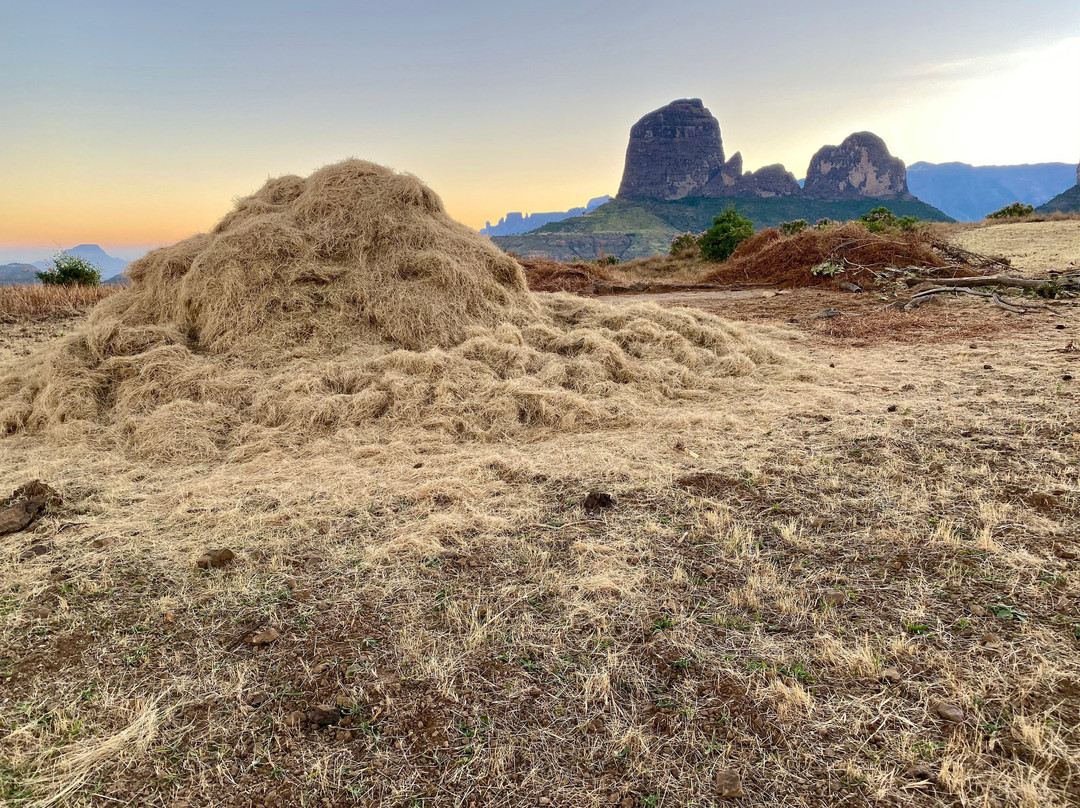 Simien Mountain Treks景点图片