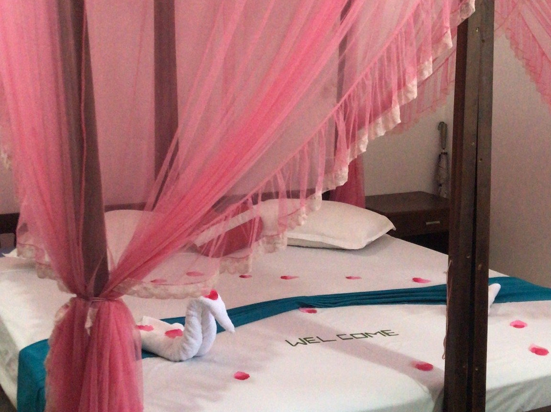 Rico Shadow Guest House and Restaurant主图