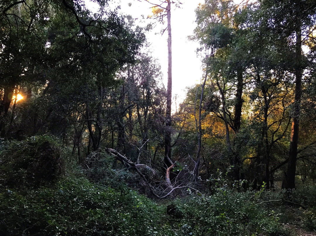 Etang de Fontmerle景点图片