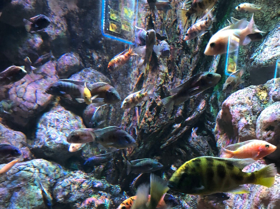 Isfahan Aquarium-Isfahan必去景点