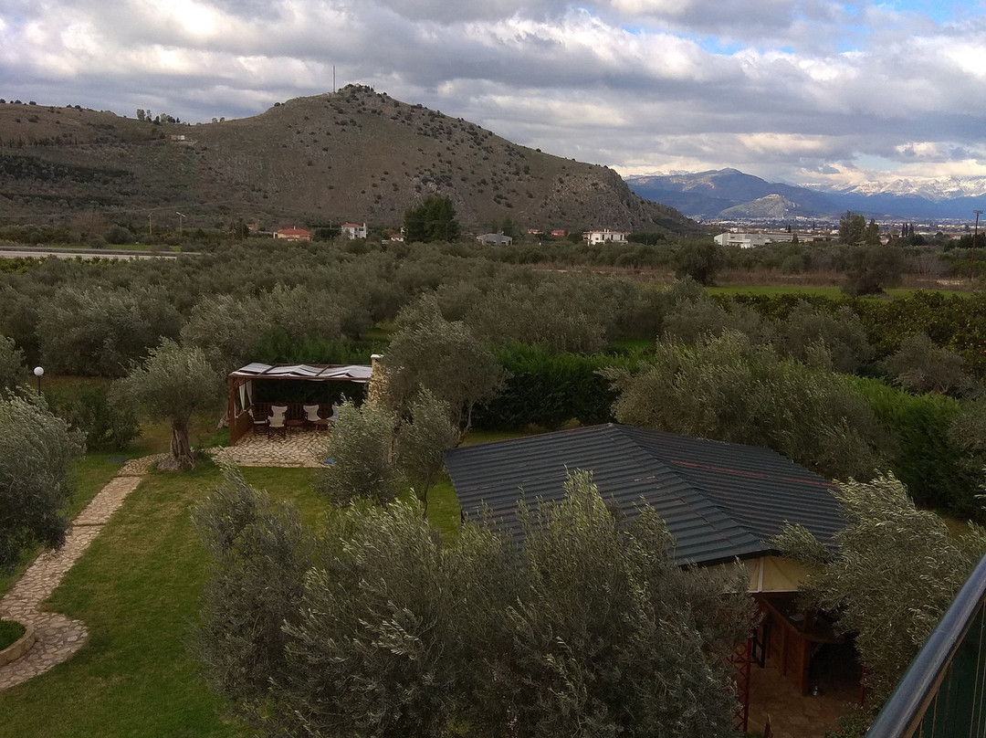 Agroktima Elia主图