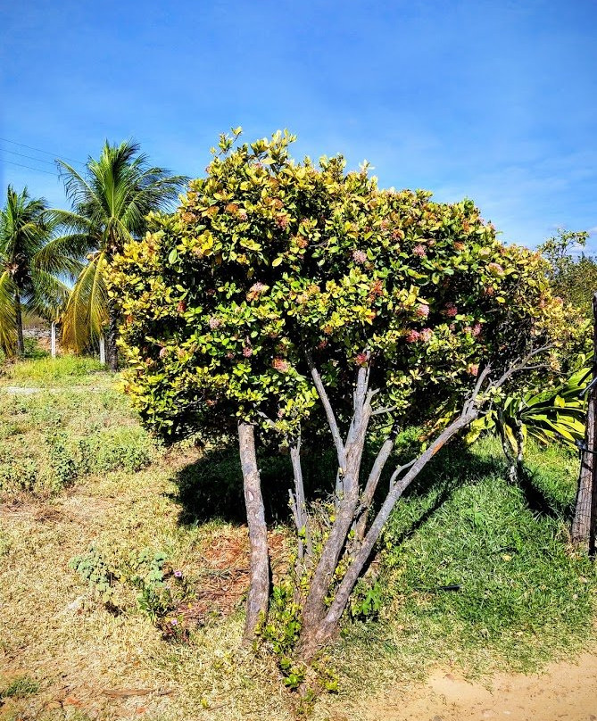 Vinicola Bianchetti & Tedesco-Lagoa Grande必去景点