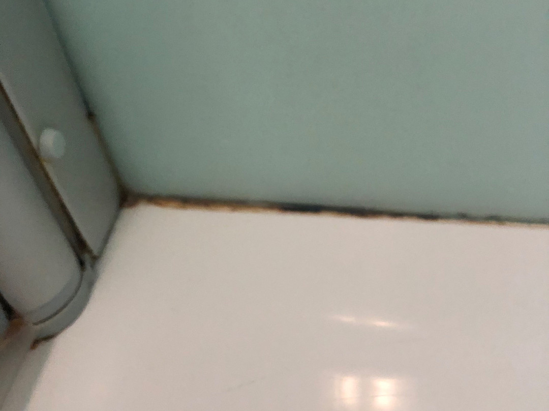 Almhof Kitzlodge - Alpine Lifestyle Hotel主图