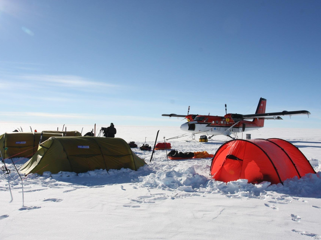 Aboa旅游攻略图片