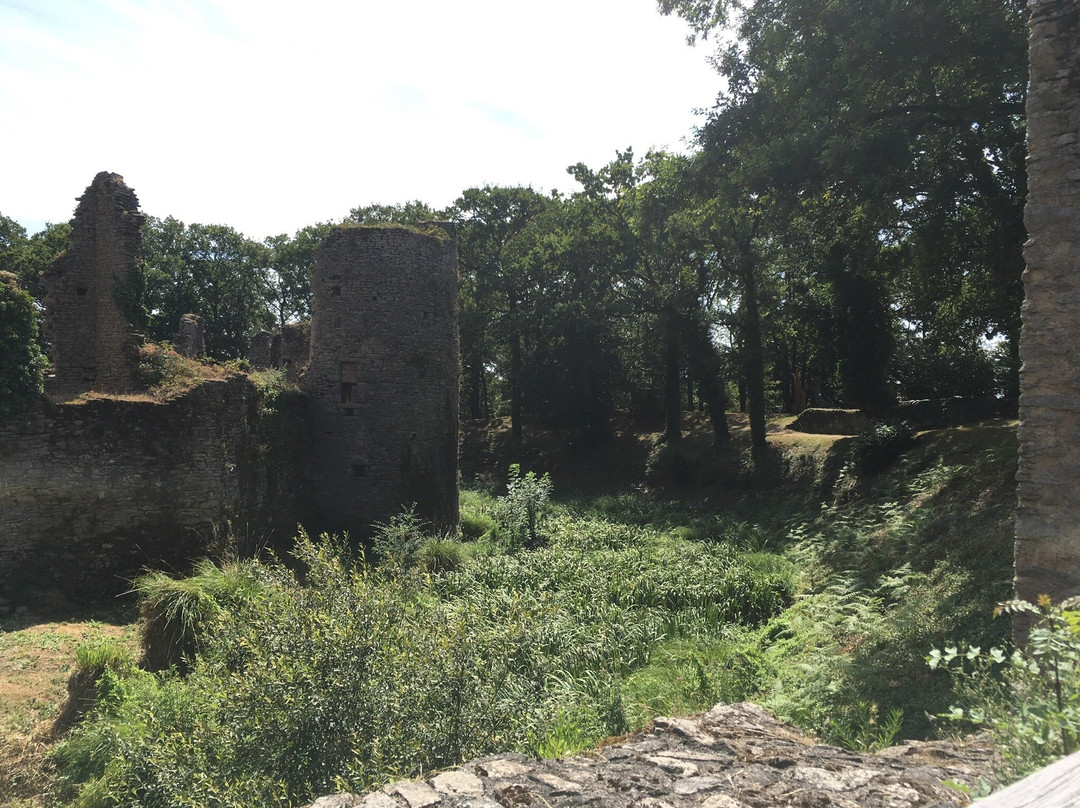 Château de Ranrouët景点图片