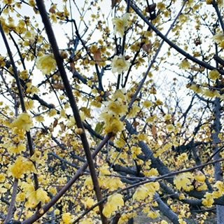 Tadao Park-町田市必去景点