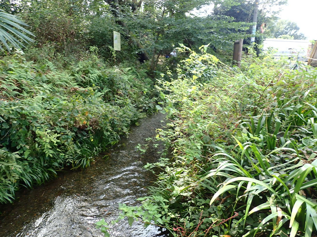 Ochiai River and Minamisawa Springs景点图片