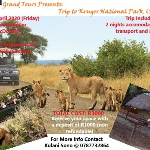 Game drives at Phalaborwa Gate in Kruger National Park-克鲁格国家公园必去景点