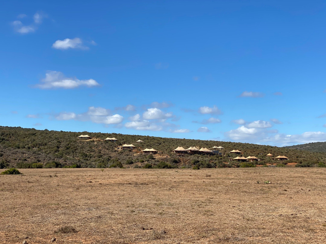 Shamwari Eagles Crag All Inclusive主图