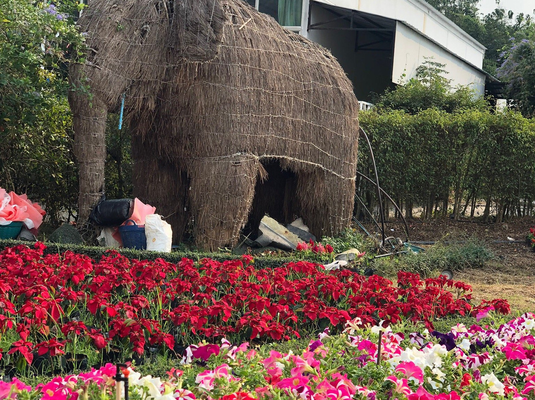 The Bloom By TV Pool景点图片