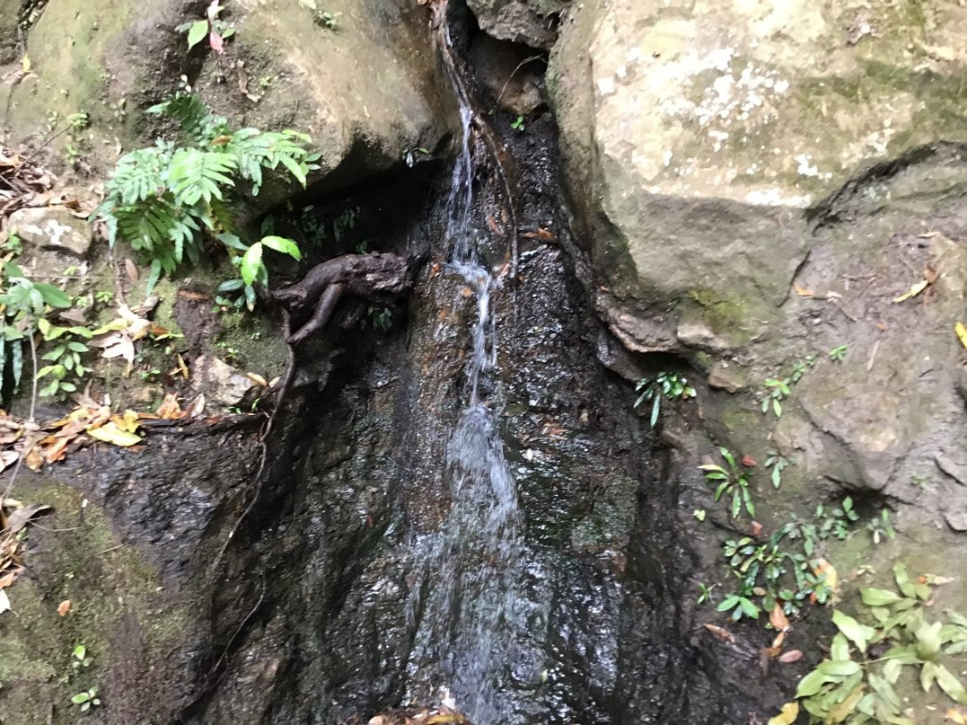 Blue Mountains Eco Tours-卡通巴必去景点