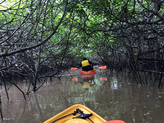 Kayaking with GK-哈夫洛克岛必去景点