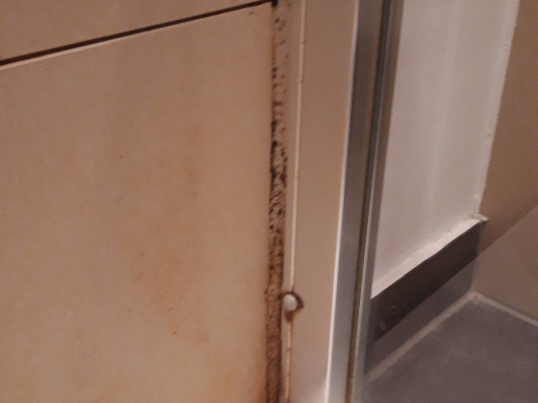 Campus Boardinghouse主图