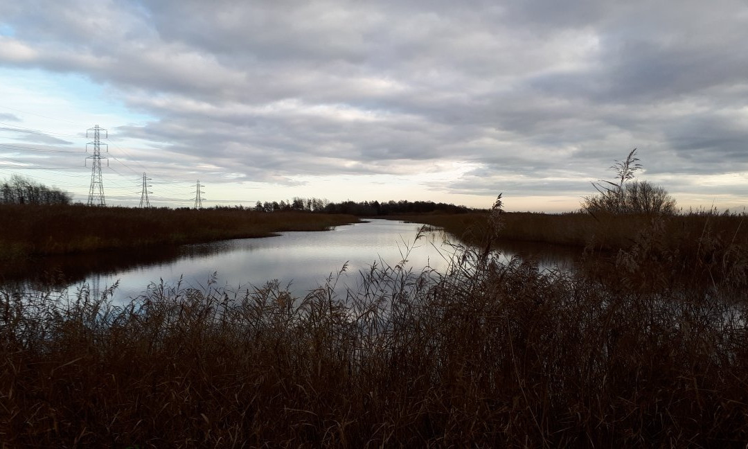 Newport Wetlands景点图片