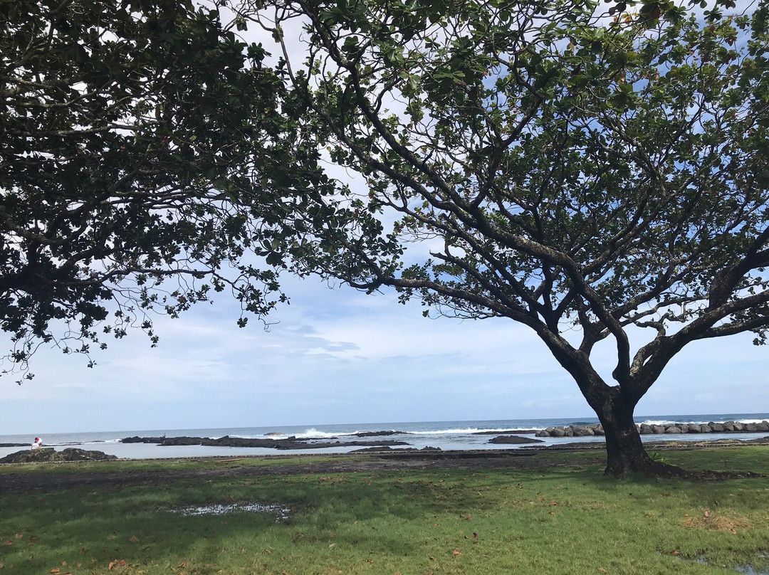 Onekahakaha Beach Park-希洛必去景点