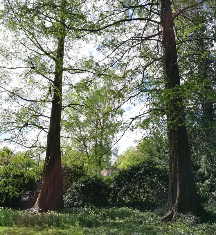 Oldenburger Schlossgarten景点图片