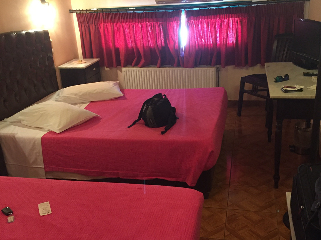 瓦洛尼斯酒店主图