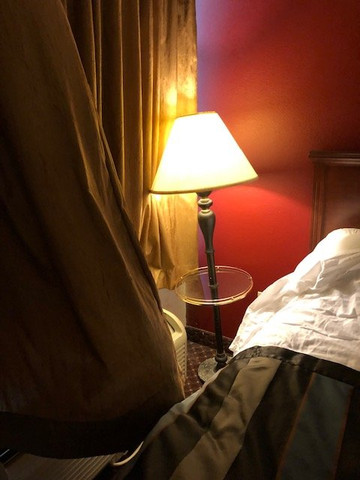 Wingate by Wyndham Mobile主图