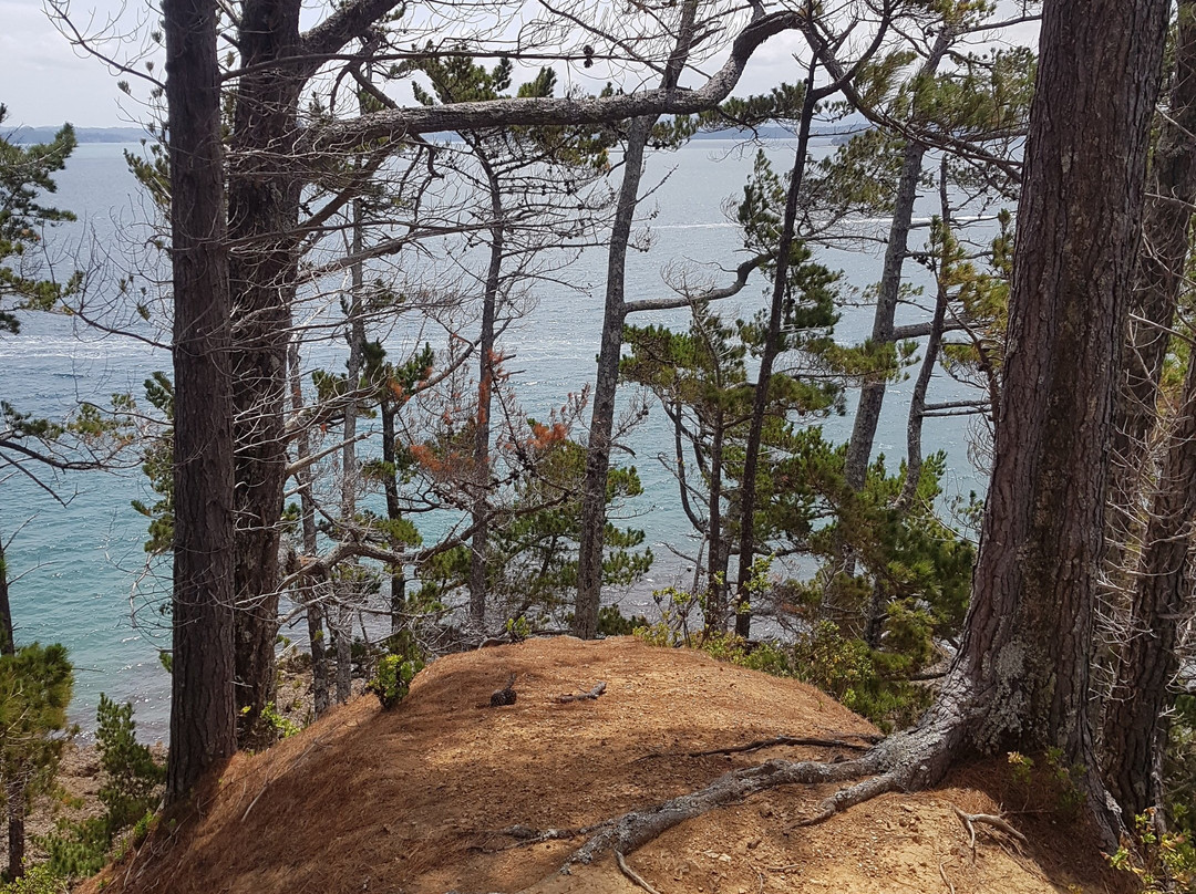 Kawau Cruises-瓦卡沃夫必去景点