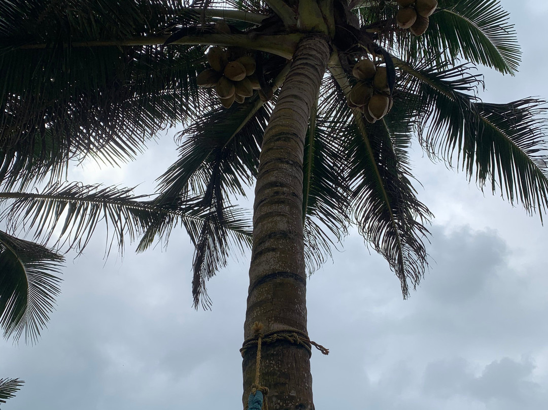 Just Chillin' Beach Hostel主图