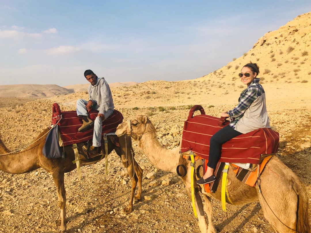 Negev Camel Ranch-Dimona必去景点