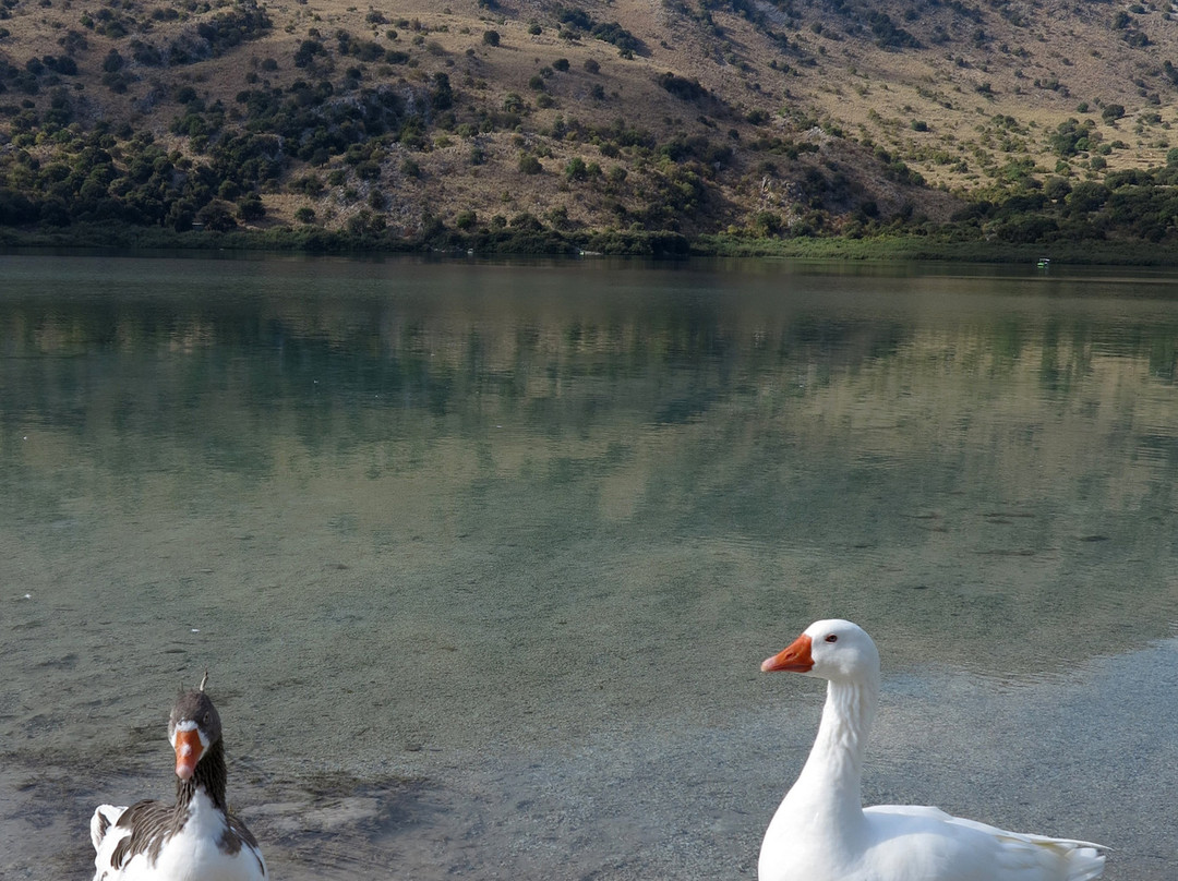 Lake Kournas-Kournas必去景点
